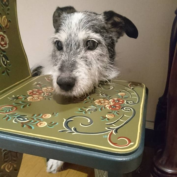 Ee577982 baea 47fe babe e7a57a855f70 1526427433426