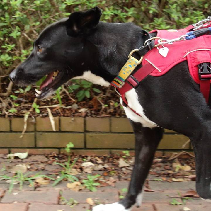 Ee5781ac 8771 4bb6 a8b1 dd03a4be04cc 1593561371850