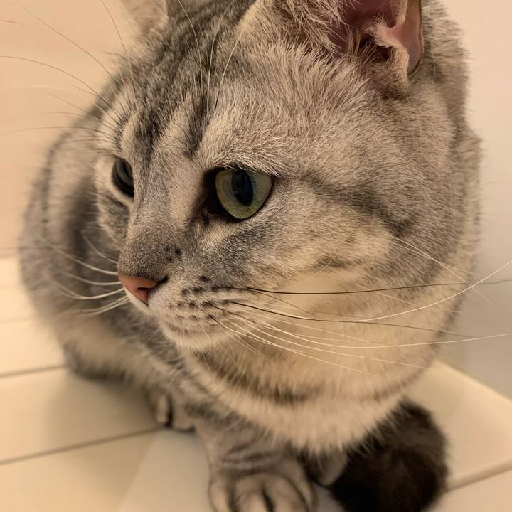 Ee578e86 ba3c 45cd abde 38112eac389d 1618035586268