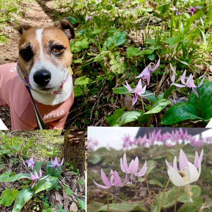 Ee57966d f907 4a1e 865d c9d177936d66 1745490878229