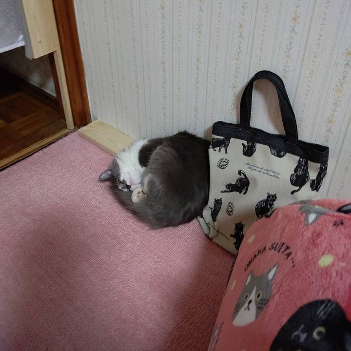 Ee57a20c 3e48 45c6 a13d b5ef53135f10 1571742554241