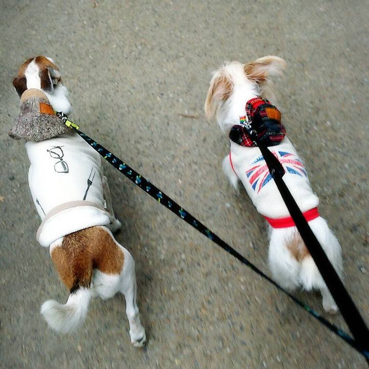 Ee57ab56 8f7f 4282 bafc cba6358c8569 1518338798750