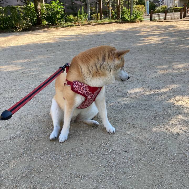 Ee57d0ce 5d27 48ae 95cc 41958cf6c9f5 1628495653847