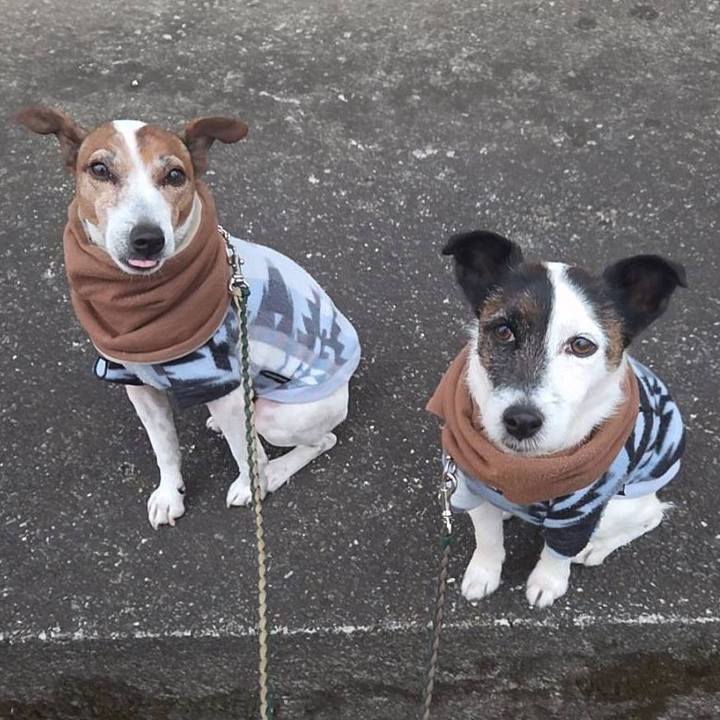 Ee57f982 a5b9 4935 87a5 8550e4137bb8 1768947287868