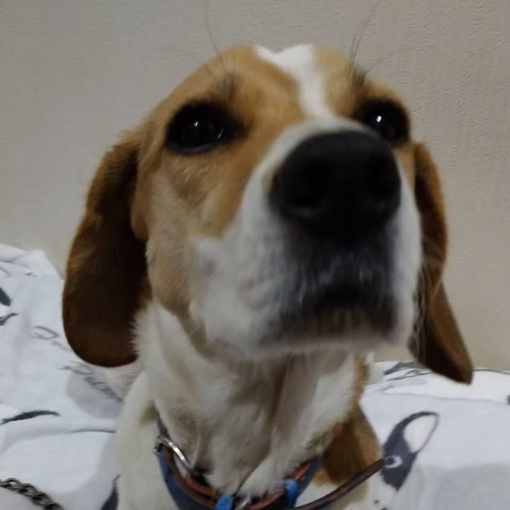 Ee57ffdf 7939 44e3 9909 dcb009b63791 1609214010173