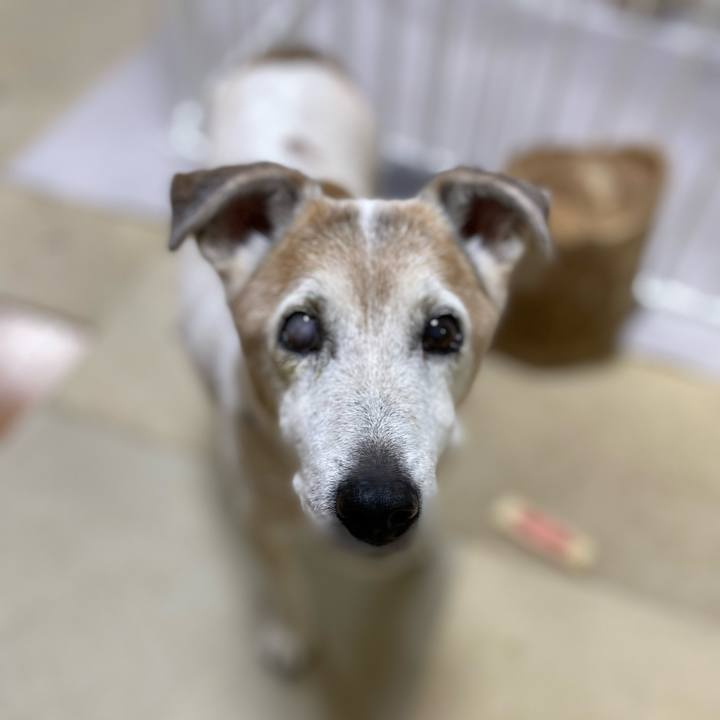 Ee584881 5c7f 4924 bc61 bed8a8af72fe 1685282889736