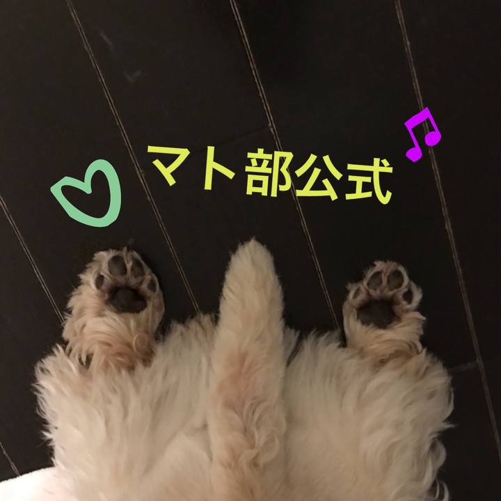 Ee58615a 6673 4da2 a392 f2c32e2f074b 1534132241329