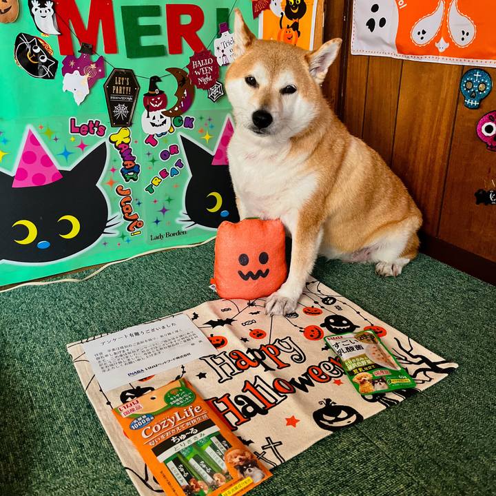 Ee58e81c a089 4420 b573 86e94a037b28 1663987625291