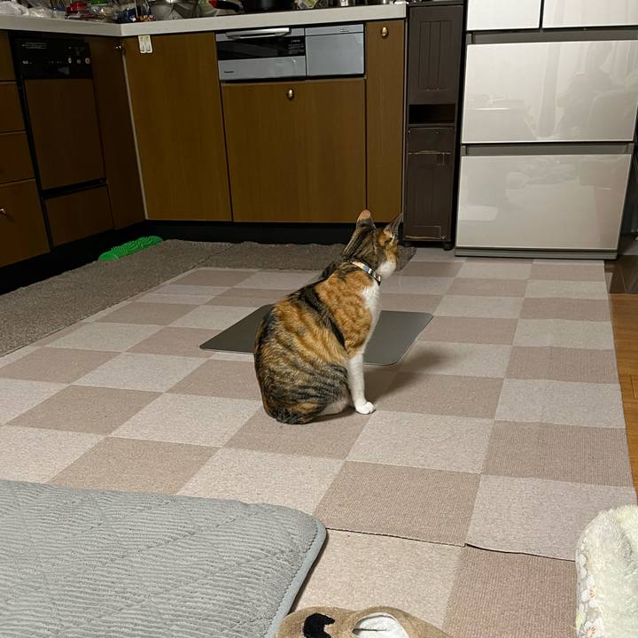 Ee590b2d 34d5 46c4 9898 f1dc5589204c 1683116887179