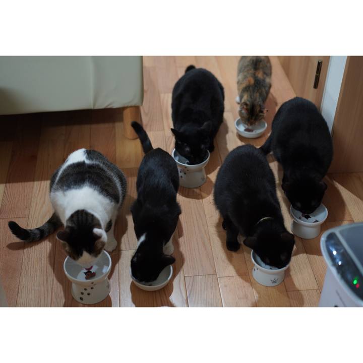 Ee59152b 564a 407c af95 283988e1ca98 1580168211729