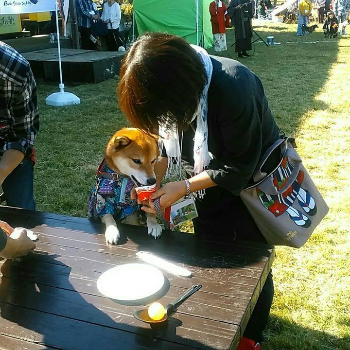 Ee592df6 4e21 4975 a4bd 370f5716570c 1573900982611