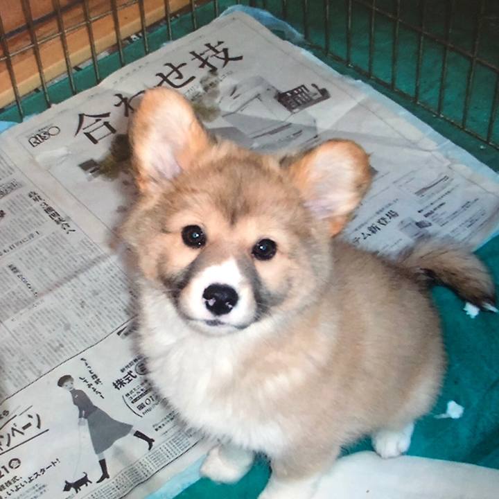 Ee594092 f18d 495c a60b 546639f00e4d 1531398291253