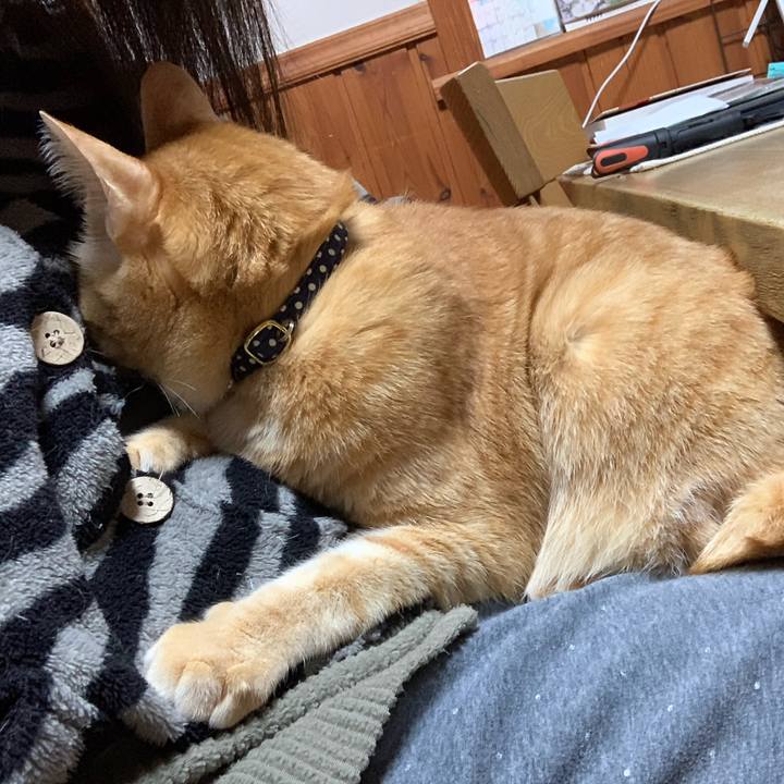 Ee594faa 289b 4cf3 8ed4 fd1857726eab 1608123387483