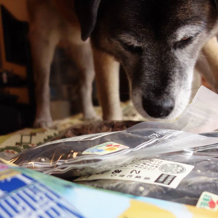 Ee59871b c51e 4006 a729 7beec9ef0811 1526552863237