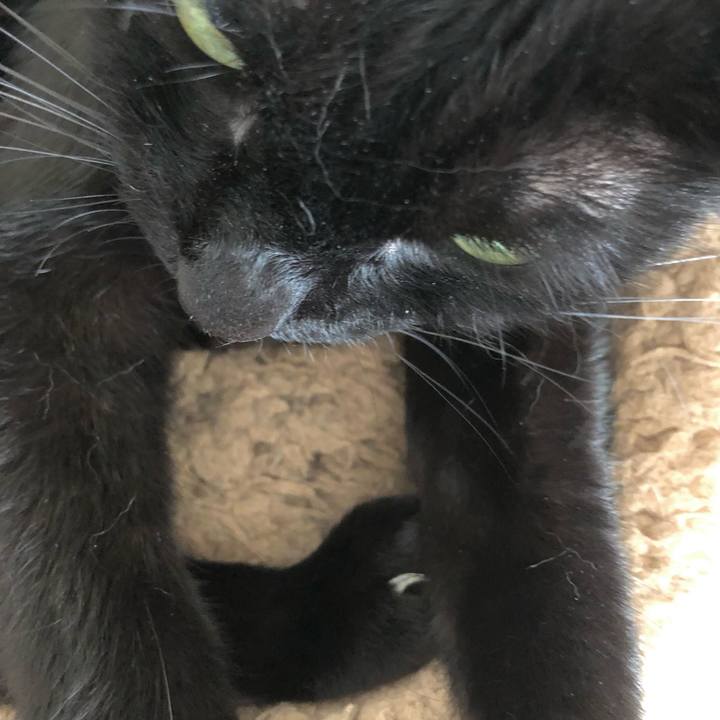 Ee598bc6 4e1e 43ef 9f6c 0d2a9dda6c2c 1627694264122