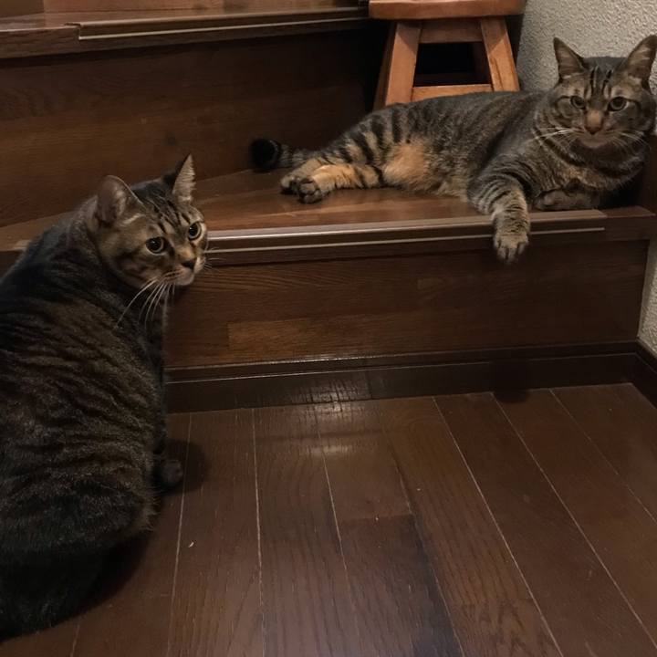 Ee5998cb 7739 478d bc79 3421ff2aa046 1666355674369