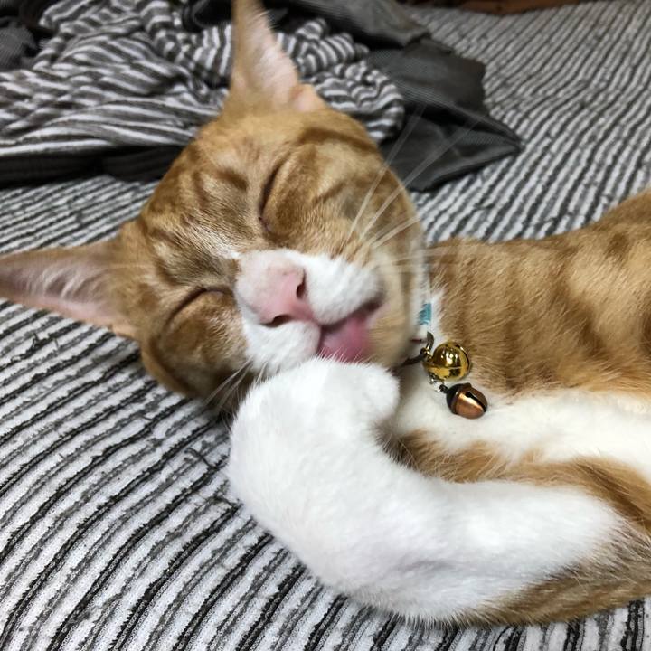 Ee59c606 d847 4cdc b9c2 efc6a7696ab9 1570196353097