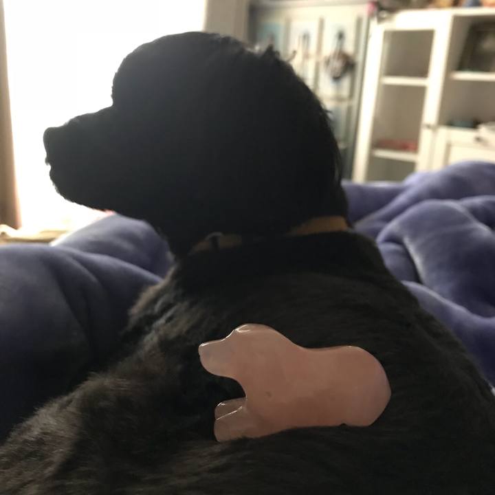 Ee5a330b 8857 42d2 9371 6efdffccc4f5 1528273632989