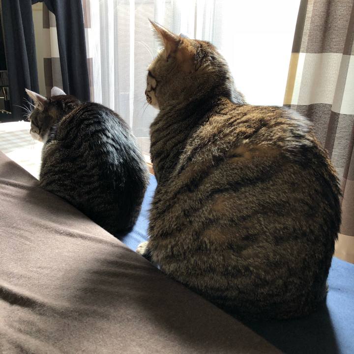 Ee5a9667 c253 4efa 8342 838d4066e07d 1519442195657