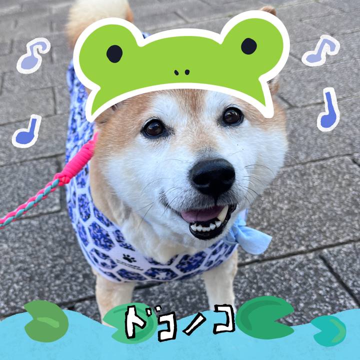 Ee5aad20 0c03 485f ba60 16f78b53f6ca 1717636715415