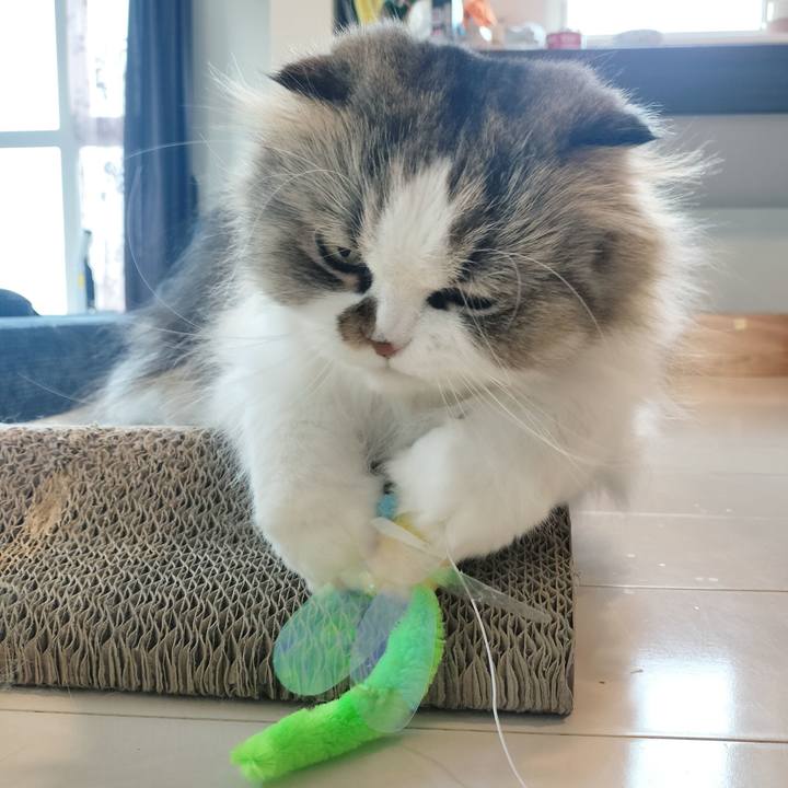 Ee5acb2c 9d0b 428f 8484 f90a6746927c 1774262447016