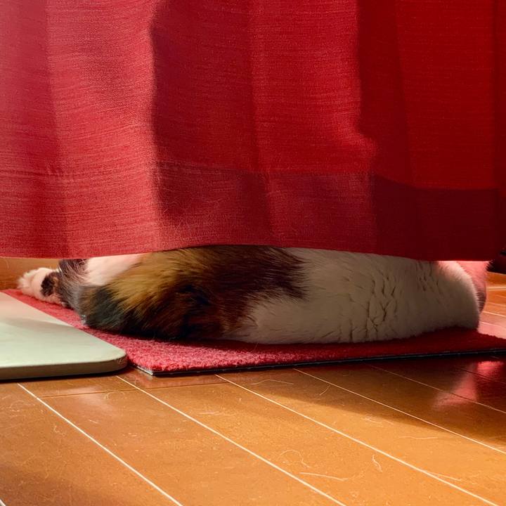 Ee5ad341 423f 49b5 8f17 dcdbfd88d58b 1565478557910