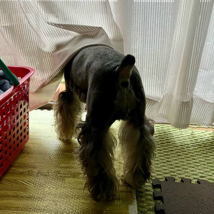 Ee5ad87e 8238 4d39 bbbe aea3d9673b51 1723795928126