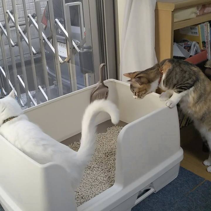 Ee5af5b9 999e 498a a120 34a5a828a33c 1643362044653