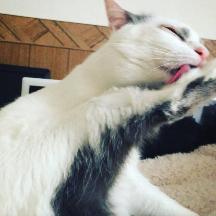 Ee5af7ab ecc7 473a b83a 2ff9e72c5d87 1560459328048