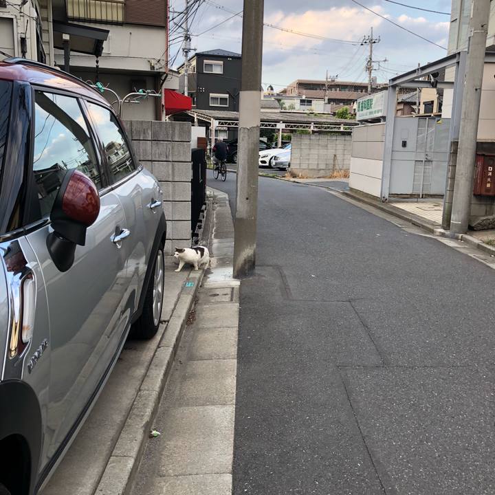 Ee5b1188 45dd 4e55 ba67 4e2a3ad71866 1527859853835