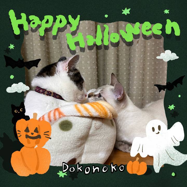 Ee5b29d0 e143 4ed2 9dd3 4967155a175c 1729341589796