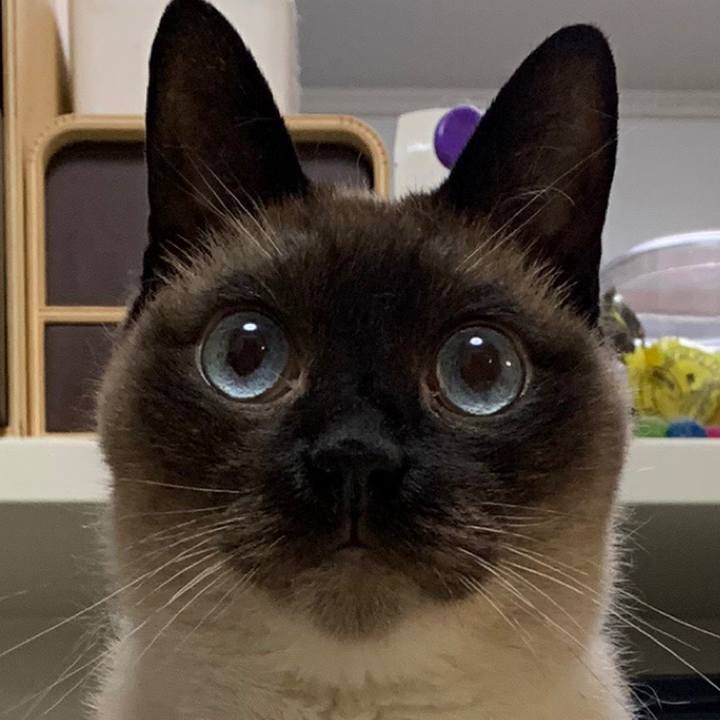 Ee5b2a34 6f17 4591 b12a 03eed79f47da 1592620388320