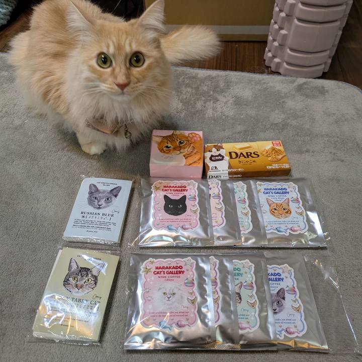 Ee5b7beb 89ae 4c7e 959b 57c1f16db320 1740139462772