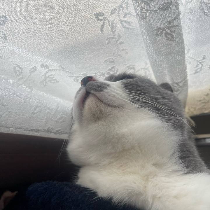 Ee5bc1e8 8ccc 4787 aafa 87e5c547ea1b 1683503211059