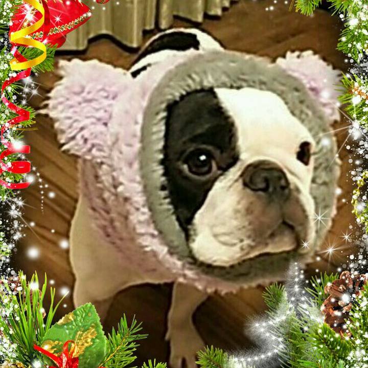 Ee5c00ec 8392 49fb bdcb d039d100814c 1514120468838