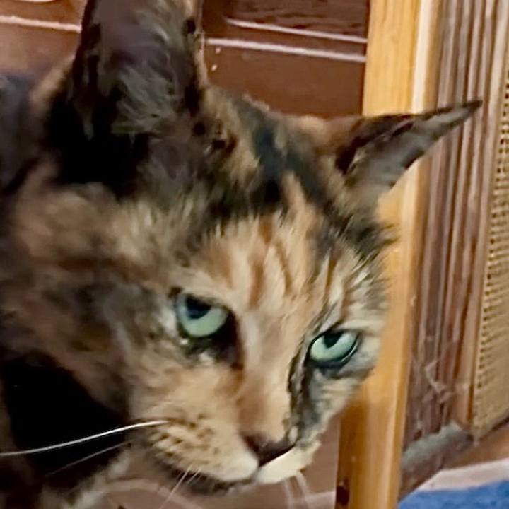 Ee5c4040 5060 4db6 ae45 21bc786c1597 1749693007575