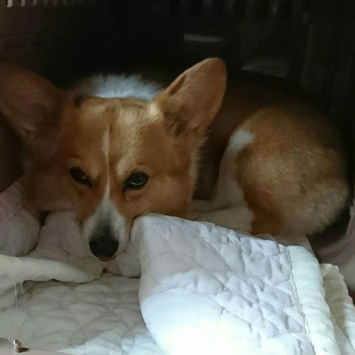 Ee5c463b 8c13 4aa9 b5eb 2935afe612ef 1551924724630