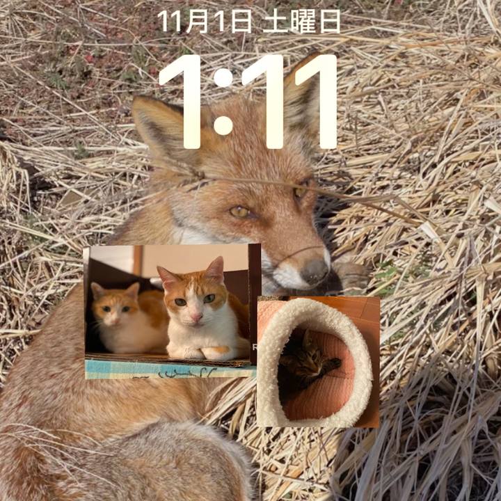 Ee5c761b 7742 4b8d a2cb bcbb8214b090 1761927345319