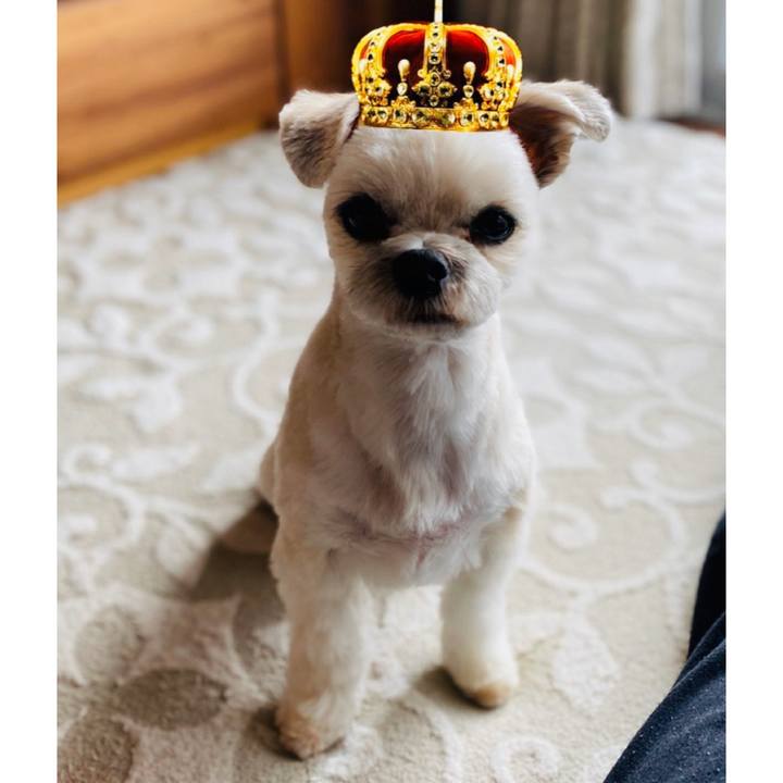 Ee5c92f3 cc76 41c3 8e15 bf1c19569f9b 1577853378316