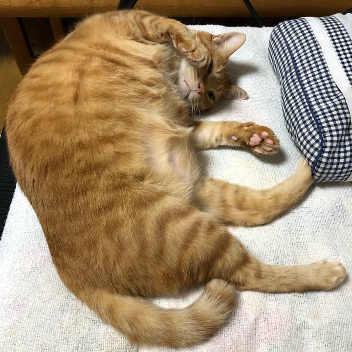 Ee5cb669 6937 4ac1 937d 2b5669197439 1607176466766