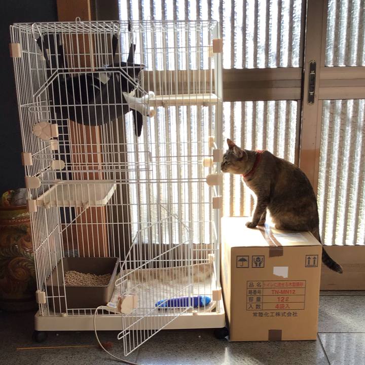 Ee5ccaf4 e507 4b23 8fd4 50ea53e28ac2 1640840789163