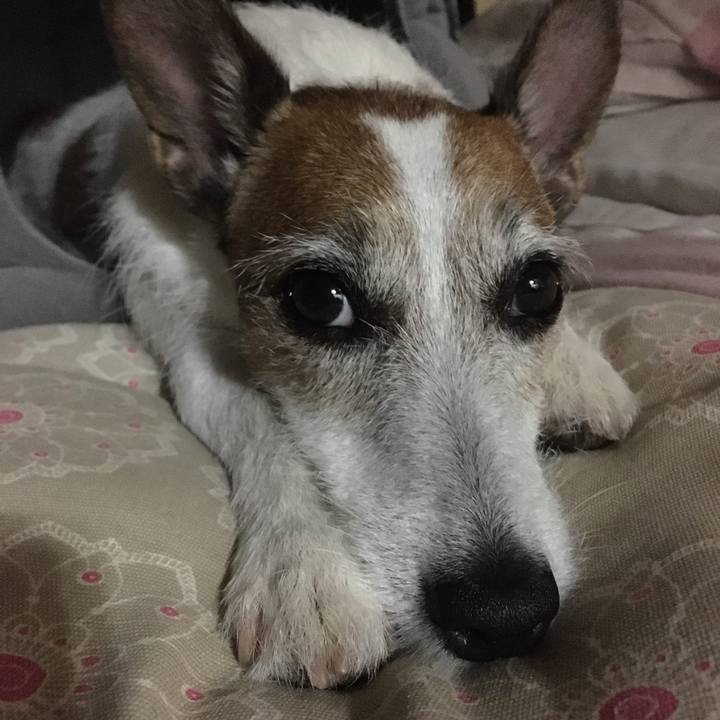 Ee5ccd4a 9b80 4b8a a4cb df665b70637b 1624491055036