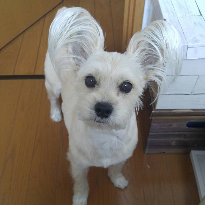 Ee5d0629 2bfd 4086 9d60 ea407229a06f 1521609721114