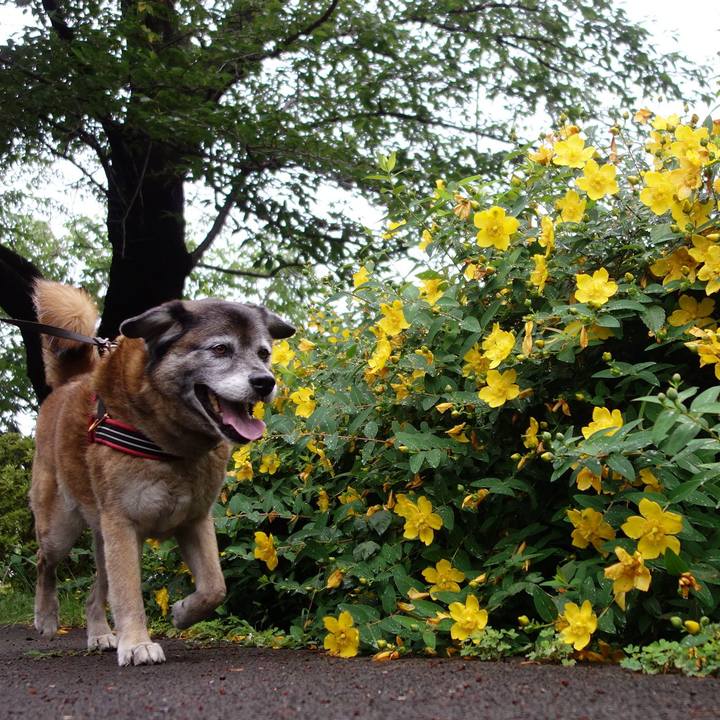 Ee5d1620 3f09 4034 aed6 697dab5d902e 1670463997170