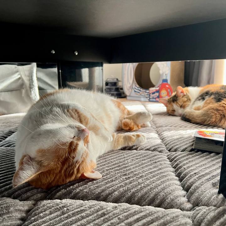 Ee5d2507 b1c4 417b 9856 a76c0c3c5a41 1768977737794