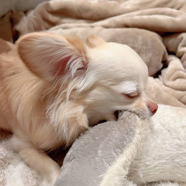 Ee5d26a2 4f61 46ff 931f 17dca56bfb03 1709039617734