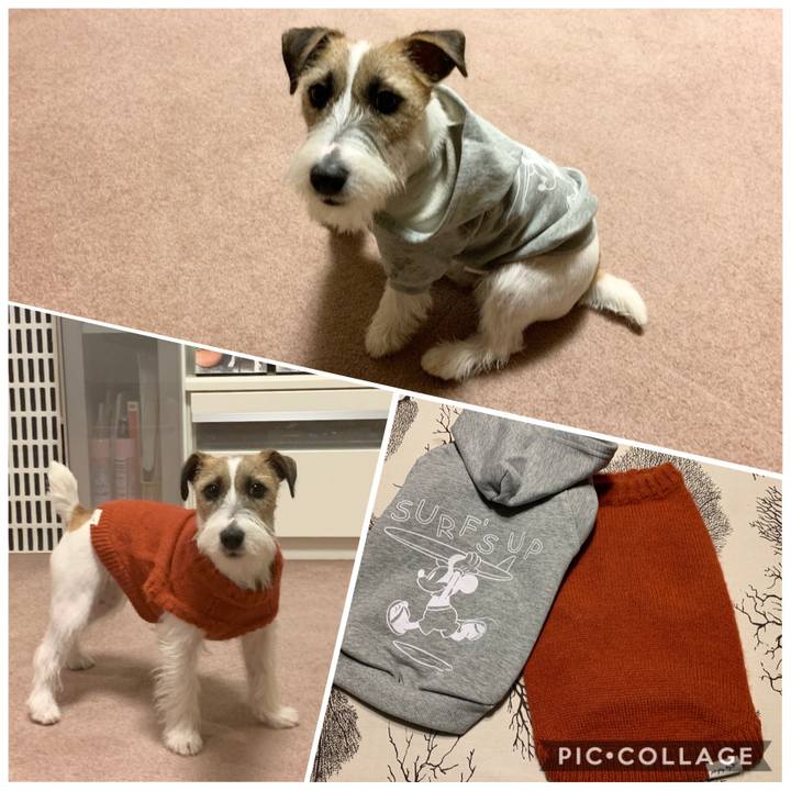 Ee5d2bbd a4a7 41c4 8357 833403ac4172 1577015122155