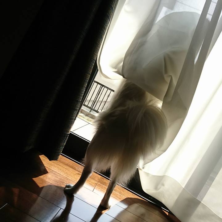 Ee5d60fb 1935 48e0 8a6c dc7ad936534d 1522033037490