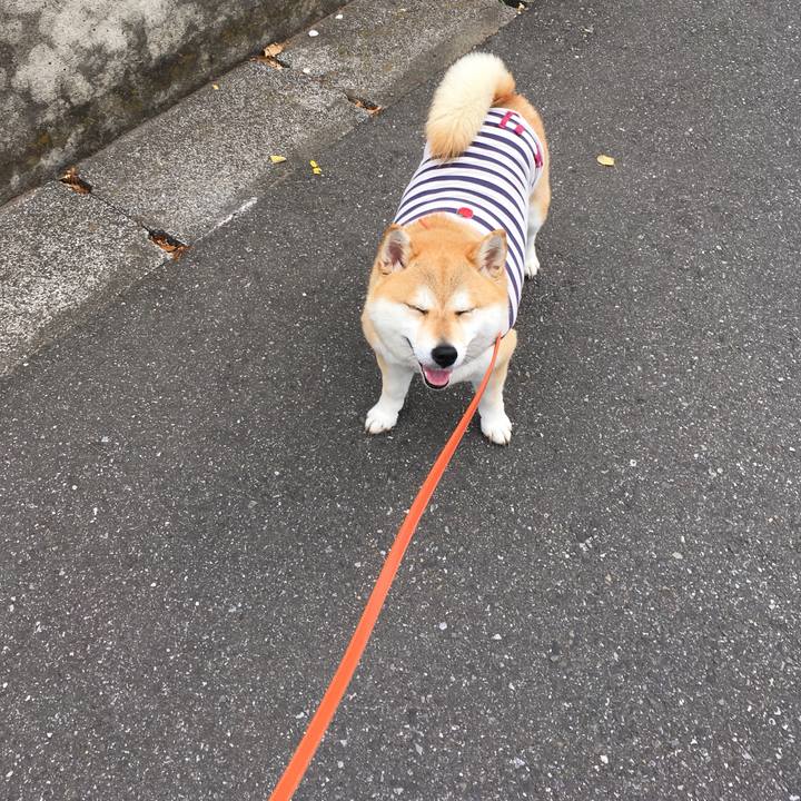 Ee5d8d75 fe91 4fca 8ba0 8afd9b4acaaa 1559347880424