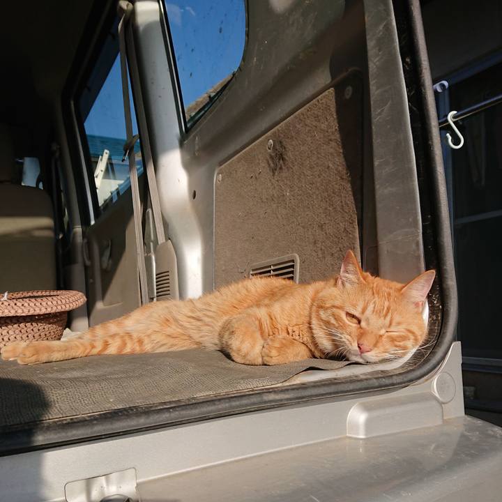 Ee5d91b3 08a3 4b3c 883d 70b43c90e54b 1662849133730